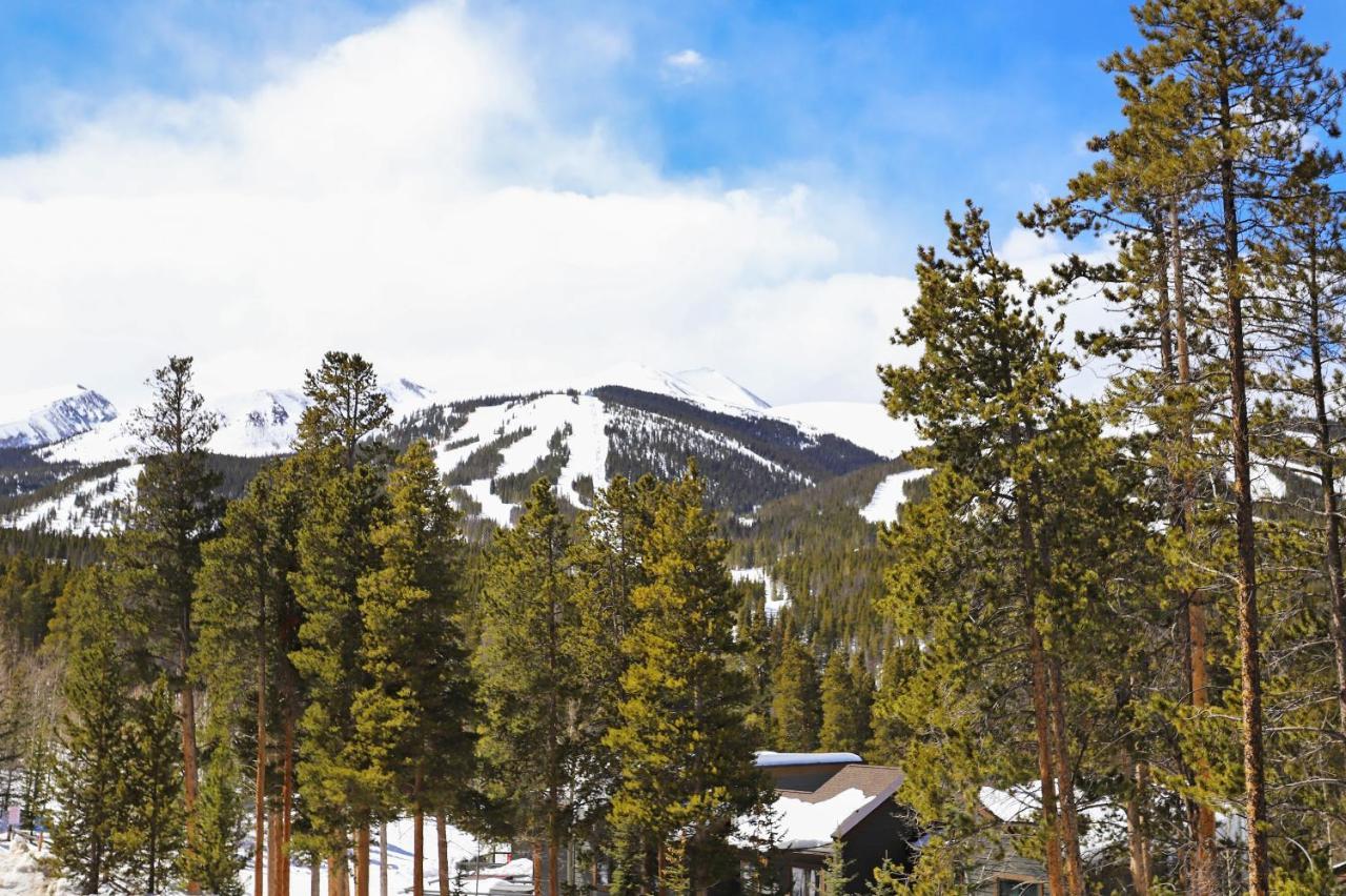 White Cap Lodge Townhouse Breckenridge Dış mekan fotoğraf